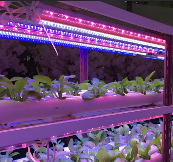 �U�蓝�?:1植物生长灯管规格参数特点