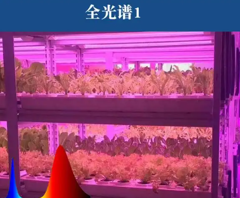 全光谱植物生长灯��?png