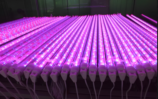 鍒嗕綋寮忔鐗╃敓闀跨伅綆?png