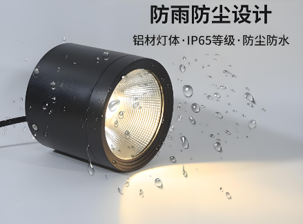 明装防水led�{�灯.png