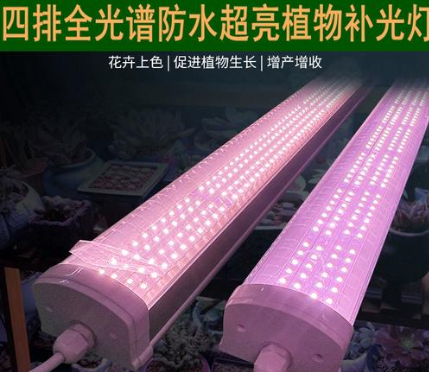 闃叉按妞嶇墿琛ュ厜鐏?png