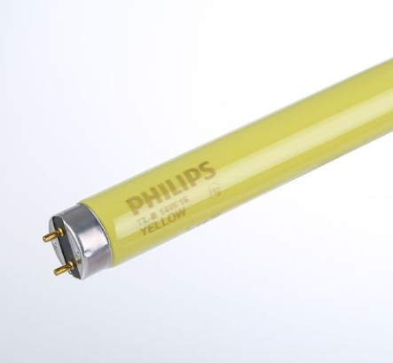 ȝ黄光灯管飞利?png