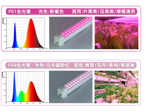 不同比例光对植物作用.png